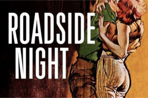 Book cover image of Roadside Night by Erwin S. Nistler and Gerry P. Broderick